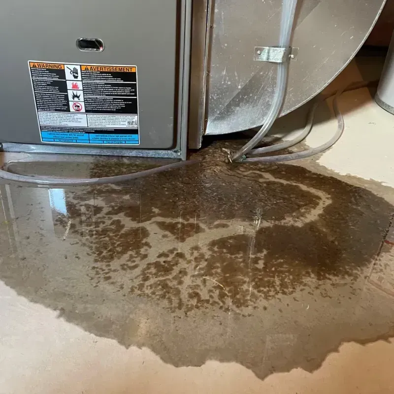 Appliance Leak Cleanup in Newton, IA